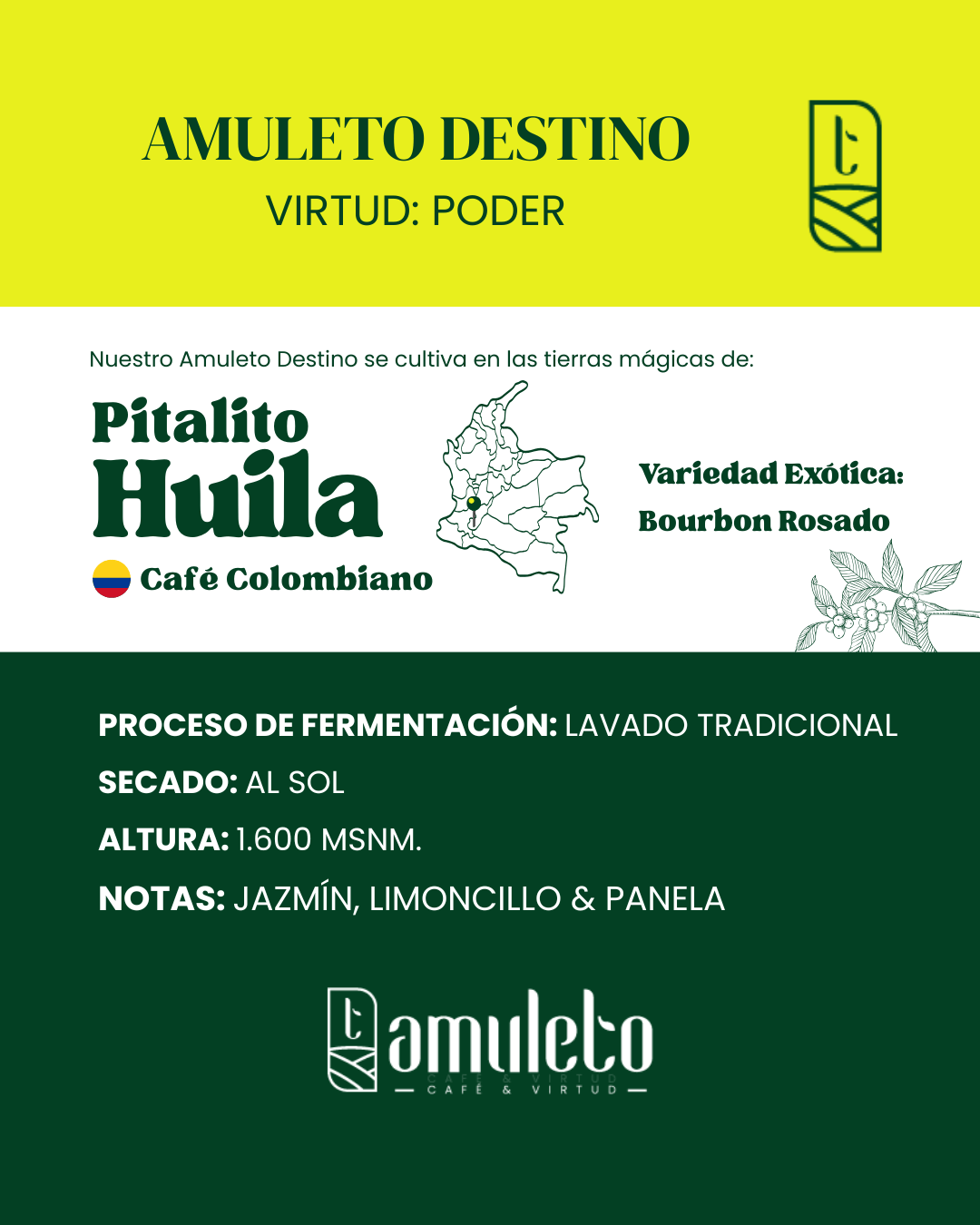 Amuleto Destino | Café Especial